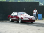 MUSTANG